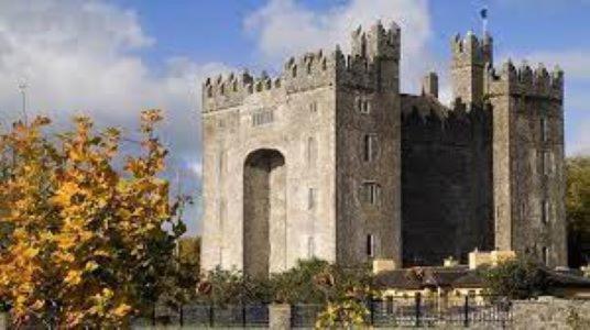 فندق كاستليتروي بارك Limerick Junction المظهر الخارجي الصورة